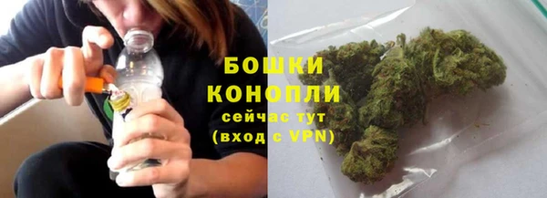 гидропоника Белокуриха