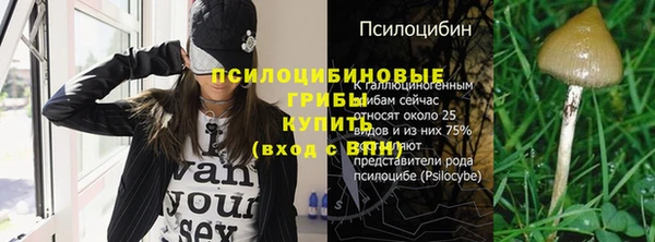 mix Богородск